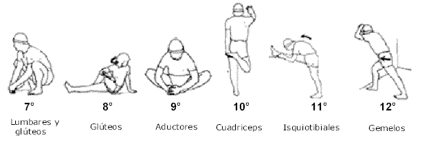 El calentamiento del jinete