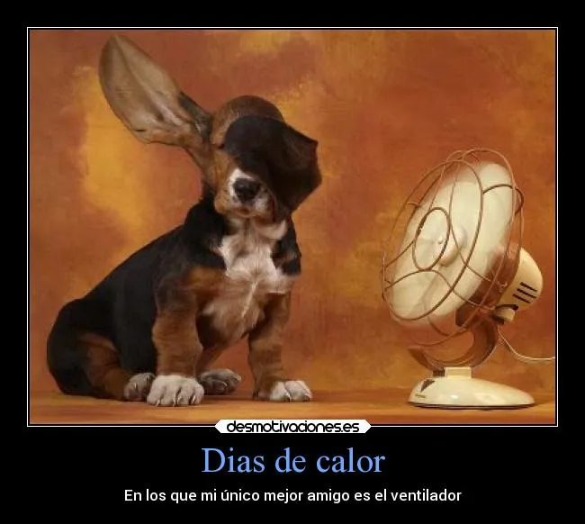 Dias de calor | Desmotivaciones