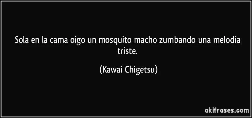 Sola en la cama oigo un mosquito macho zumbando una melodía...