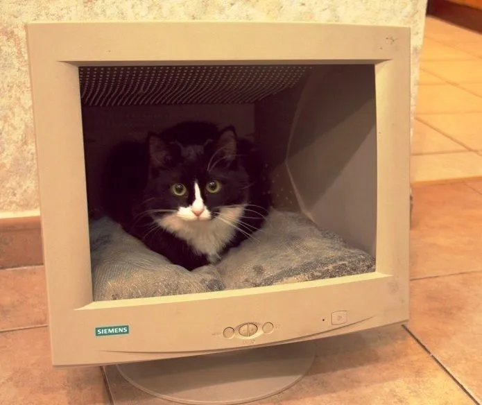 Camas para gatos hechas con MONITORES DE PC y TV - Curiosas IDEAS Camas para gatos hechas con MONITORES DE PC y TV - Curiosas IDEAS