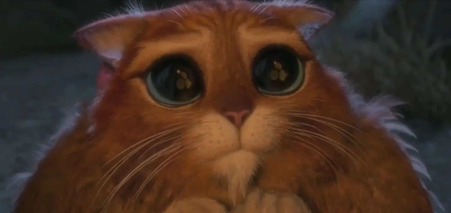 Son lindos, Graciosos,, tiernos, y mucho mas que no podria resumirlos