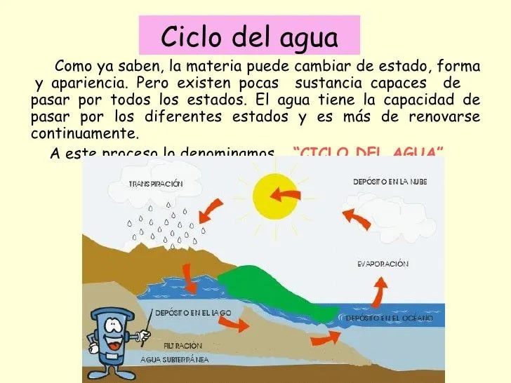 cambios-de-estado-y-ciclo-del- ...