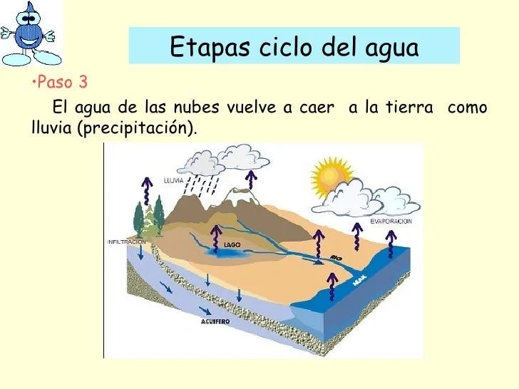 cambios-de-estado-y-ciclo-del- ...