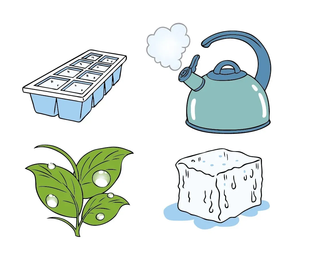 Cambios de estado físicos de la materia. Definición y ejemplos - Escolar -  ABC Color