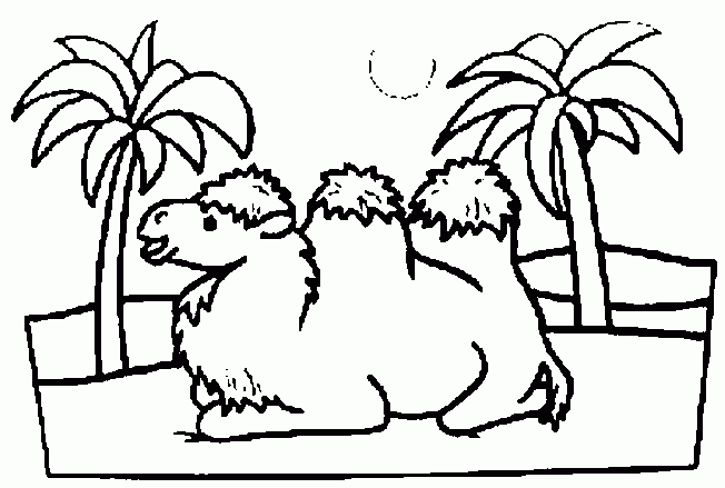 Dibujos de Camellos para colorear | Banco de imagenes Gratis Dibujos de Camellos para colorear | Banco de imagenes Gratis
