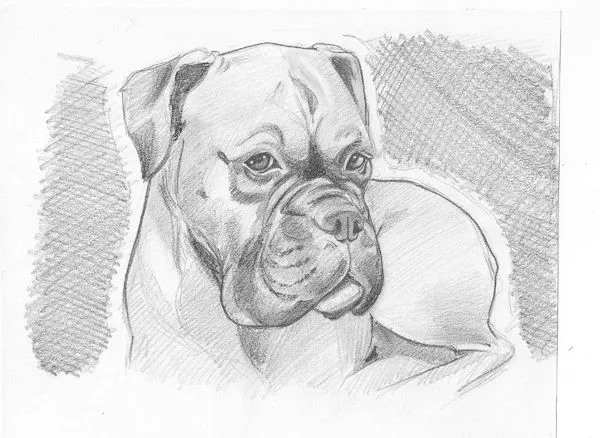 Camilo Bautista / Caricaturas y Retratos: Retratos Camilo Bautista / Caricaturas y Retratos: Retratos
