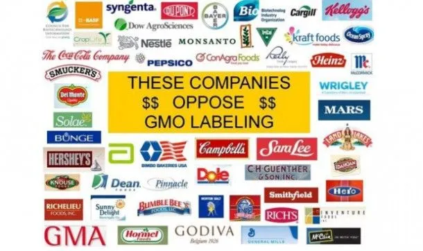 Caminante: La gran estafa alimentaria. Organismos peligrosos para ... Caminante: La gran estafa alimentaria. Organismos peligrosos para ...