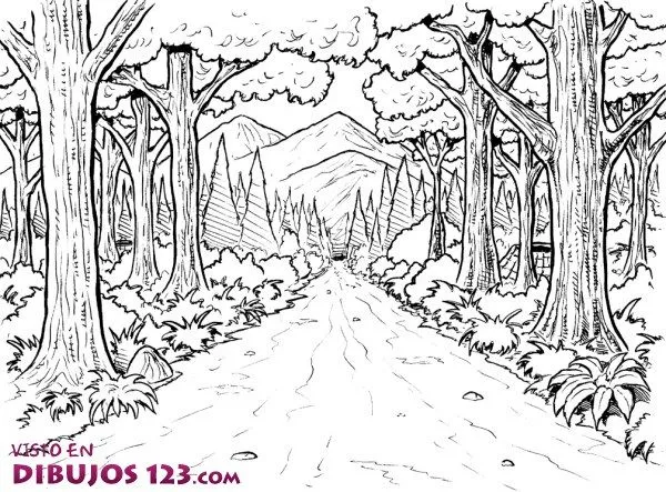 camino-en-medio-del-bosque.jpg