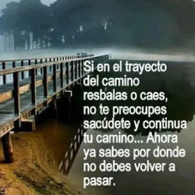 Sigue tu camino.... #frasesdeanimo #love #frases #animo #notas ... Sigue tu camino.... #frasesdeanimo #love #frases #animo #notas ...