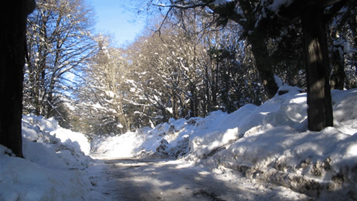 GIF EN MOVIMIENTO INVIERNO - Imagui