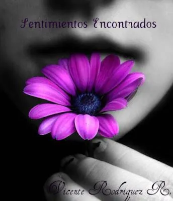 No hay camino para la paz, la paz es el camino