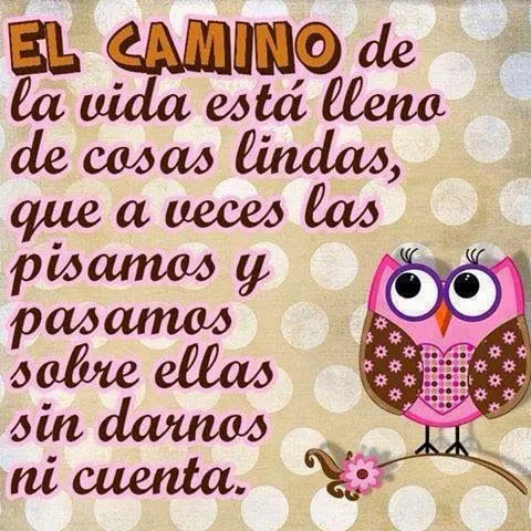 El camino de la vida esta lleno de cosas lindas. | Frases El camino de la vida esta lleno de cosas lindas. | Frases
