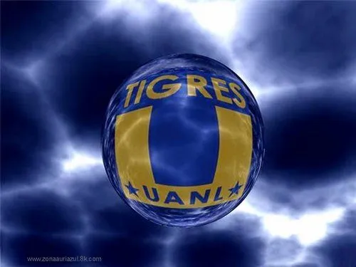 Escudos de tigres - Imagui
