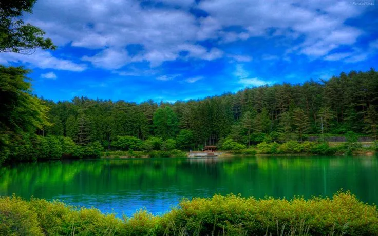 caminos de bosques hd - Buscar con Google | NATURALESA HD ... caminos de bosques hd - Buscar con Google | NATURALESA HD ...