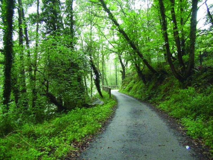 Caminos verdes, 8.700 kilómetros de recursos turísticos y ...