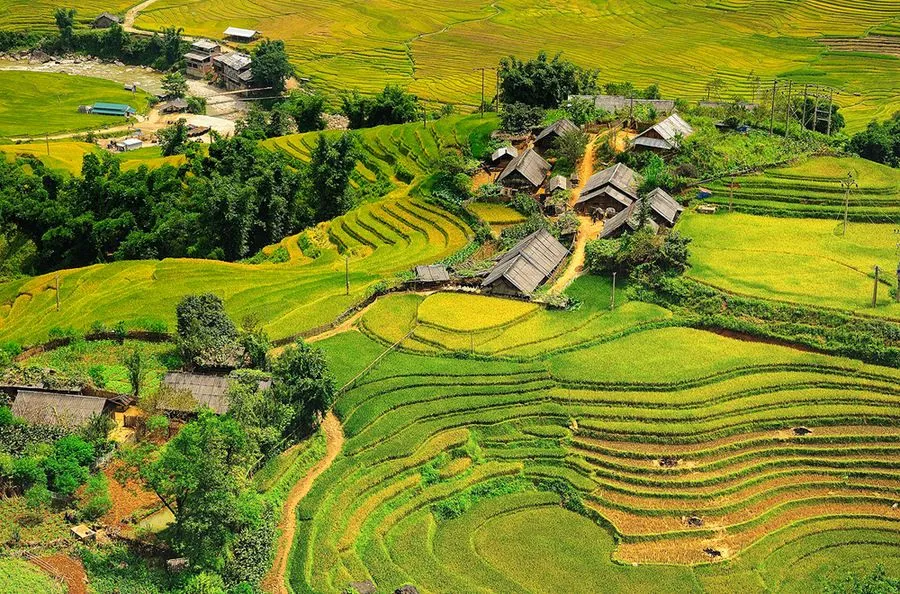 Los caminos de la vida - Life is simple - La vida es fácil | Banco ...