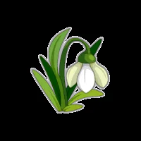 Campanilla de invierno - Dofus Wiki, la enciclopedia de Dofus Campanilla de invierno - Dofus Wiki, la enciclopedia de Dofus