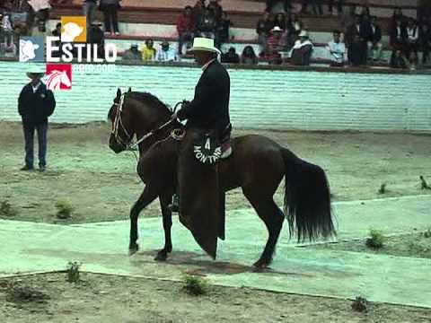 Gran Campeonato de Caballos Paso Fino Colombiano - Sogamoso 2013 ... Gran Campeonato de Caballos Paso Fino Colombiano - Sogamoso 2013 ...