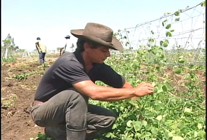Dia del Campesino Peruano | comunicaciondignidadperu Dia del Campesino Peruano | comunicaciondignidadperu