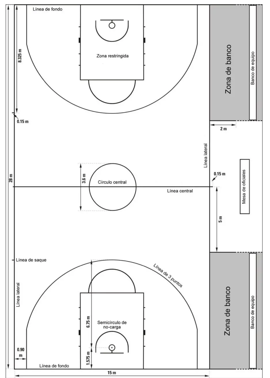 ▷ Campo de baloncesto: medidas, líneas y zonas ▷ Campo de baloncesto: medidas, líneas y zonas