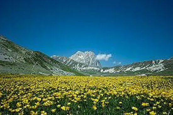 Campo Imperatore - Assergi - Reviews of Campo Imperatore - TripAdvisor