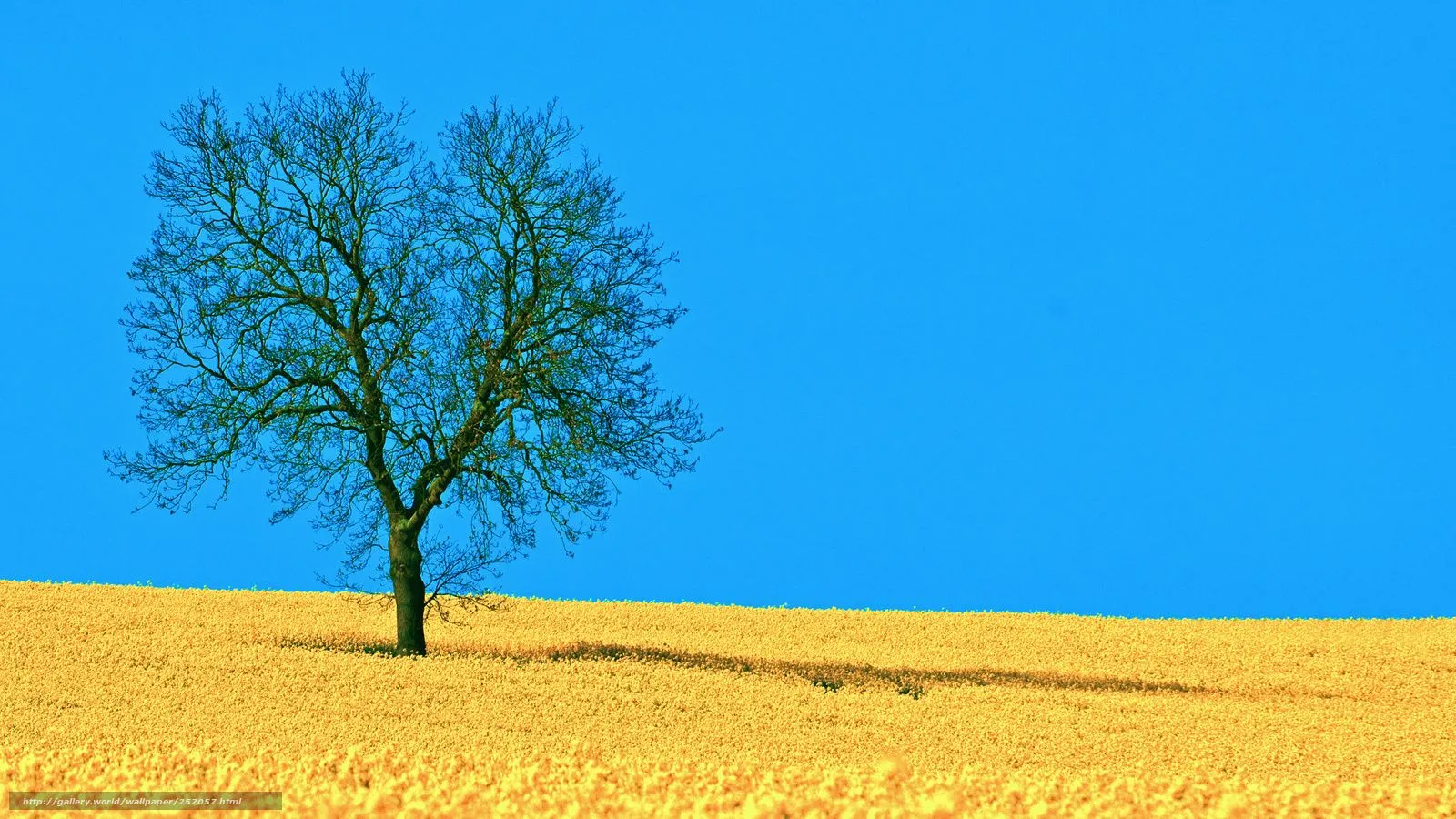 ... paisaje, 1920x1080 fotos, Imágenes HD y de escritorio, fondo de ... paisaje, 1920x1080 fotos, Imágenes HD y de escritorio, fondo de