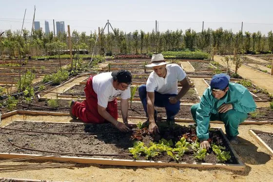 El campo reconquista la ciudad | Cultura | EL PAÍS El campo reconquista la ciudad | Cultura | EL PAÍS