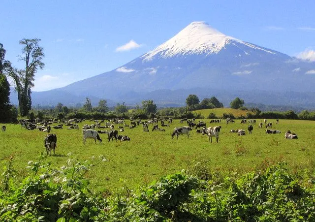 El campo del sur de Chile | Flickr - Photo Sharing!