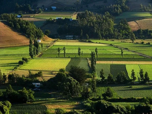 Campos hermosos en Carahue, Chile | Recuerdos del campo ... Campos hermosos en Carahue, Chile | Recuerdos del campo ...