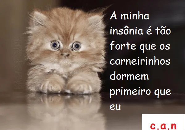 C.A.N Cute Page: Insônia