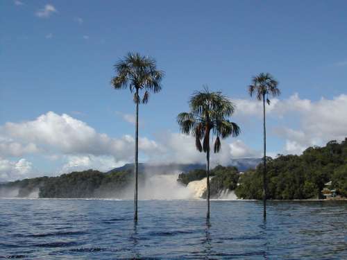 Canaima - Venezuela Tuya