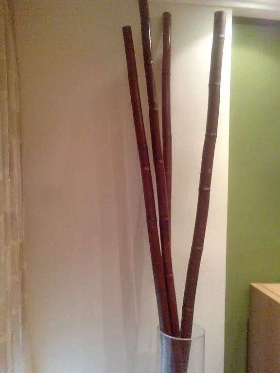 canas de bambu (3) | Decorar tu casa es facilisimo.com canas de bambu (3) | Decorar tu casa es facilisimo.com