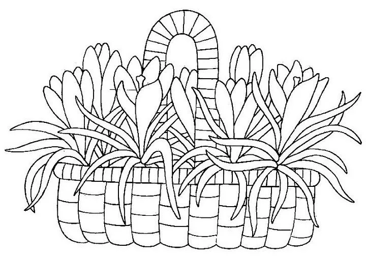 Canasta de flores para colorear - Imagui