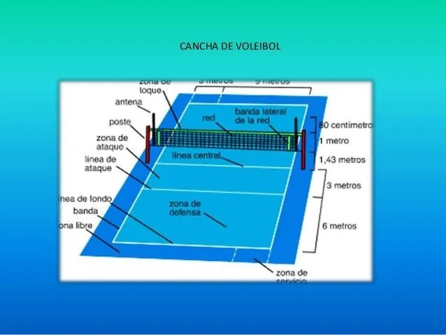 La cancha de voleibol - Imagui