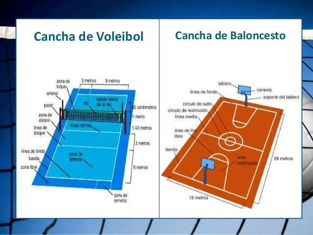 Cancha de voleibol - Imagui