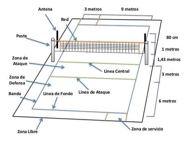 Cancha de voleibol con sus medidas para colorear - Imagui