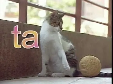Canciones infantiles online: Gata Carlota - Cantando Aprendo a Hablar
