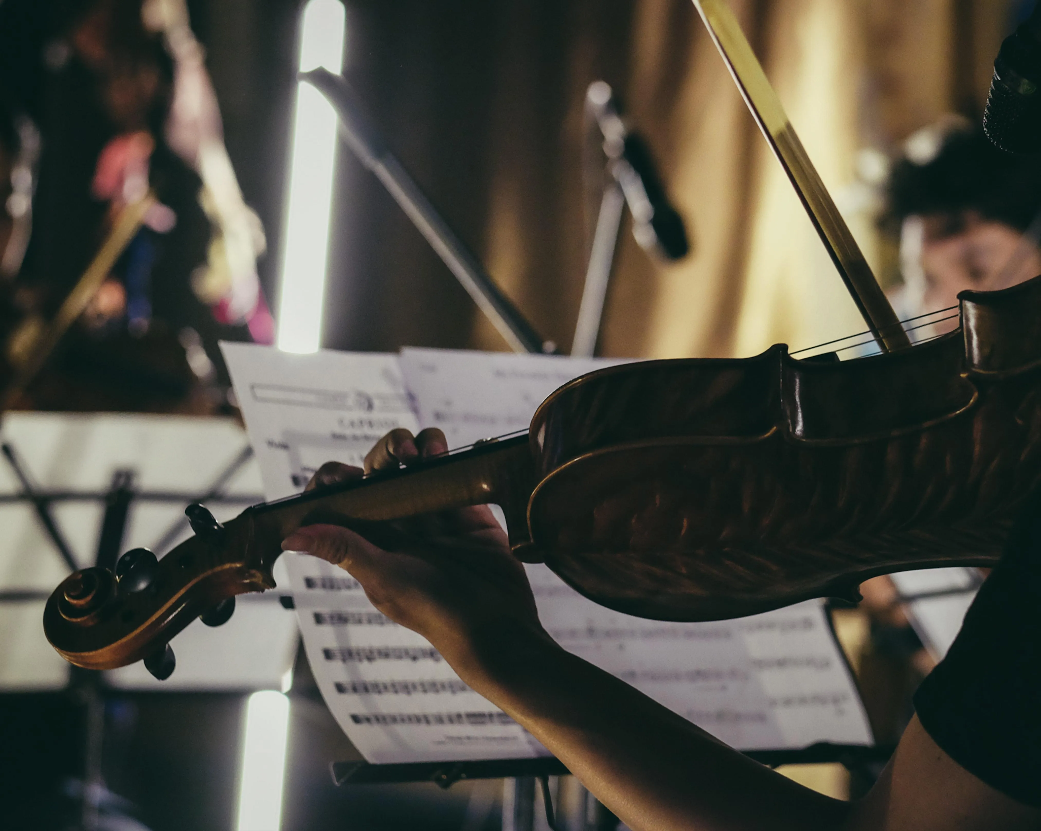 Canciones de Violín Para Niños | Superprof