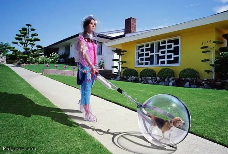 Canescool | Blog de educación canina en positivo Canescool | Blog de educación canina en positivo