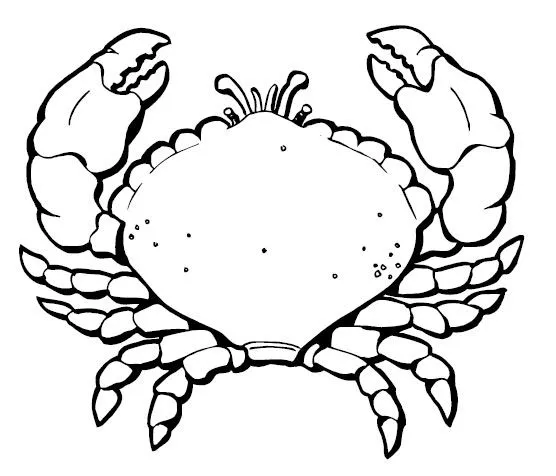 Dibujos de pescados y mariscos para colorear - Imagui Dibujos de pescados y mariscos para colorear - Imagui