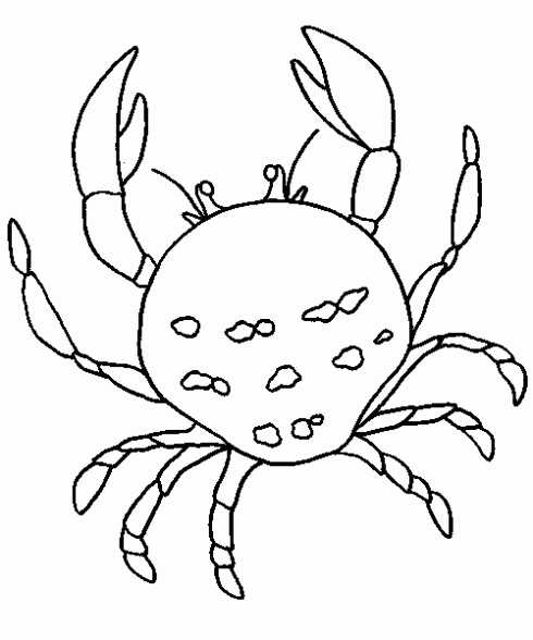 Cangrejo dibujo para colorear - Imagui
