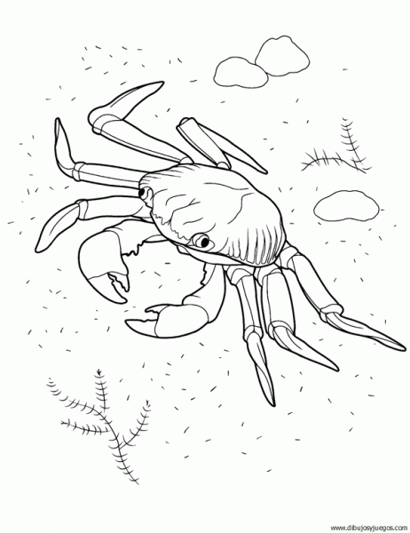 dibujo-de-cangrejo-007 | Dibujos y juegos, para pintar y colorear dibujo-de-cangrejo-007 | Dibujos y juegos, para pintar y colorear