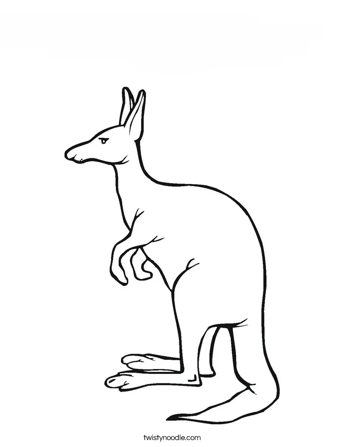 Canguro para colorear