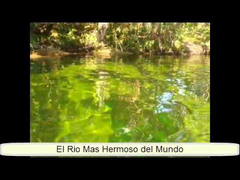 Caño Cristales el río mas hermoso del mundo the most beautiful ...
