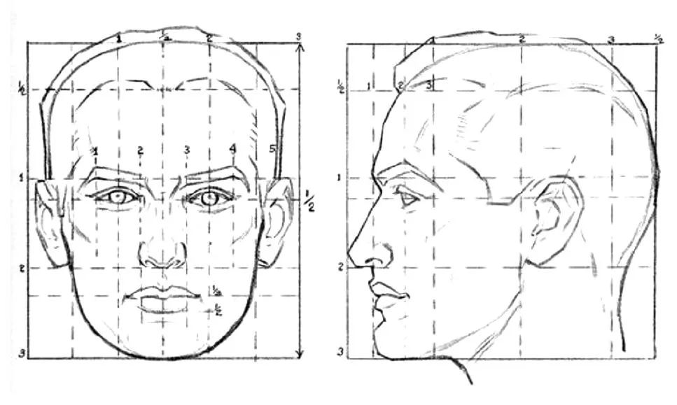 Trabajo Cánones del rostro humano | DIBUJO (lic. Sabillon)