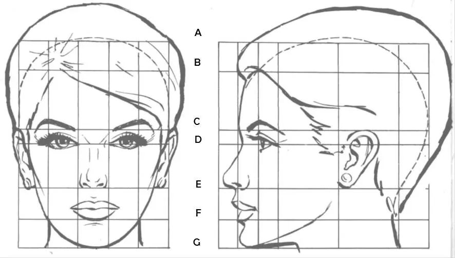 Trabajo Cánones del rostro humano | DIBUJO (lic. Sabillon)