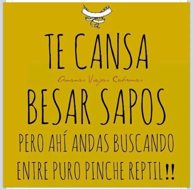 Imagenes cansada de besar sapos 5 fotos e imágenes gratis