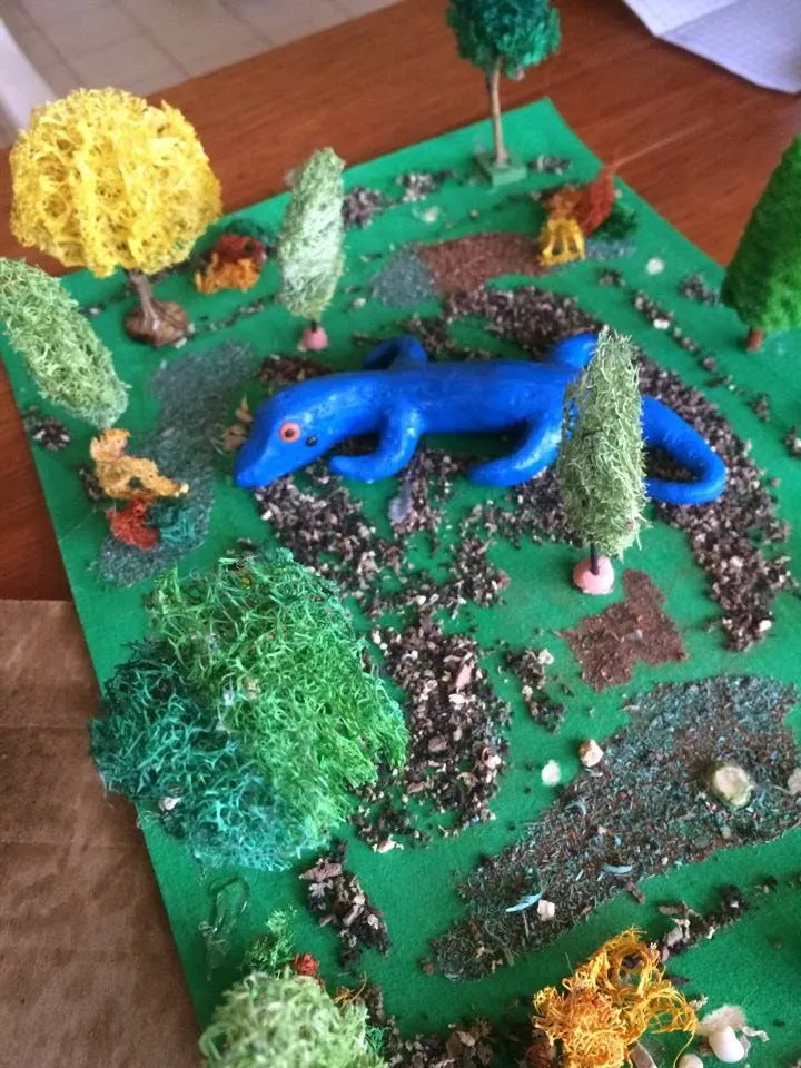 Maqueta de selva tropical - Imagui