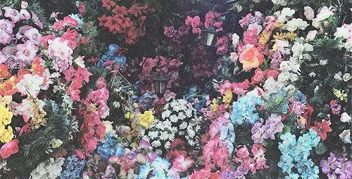 header flowers | Tumblr