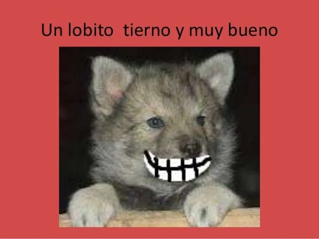 Caperucita y el lobito tierno jose